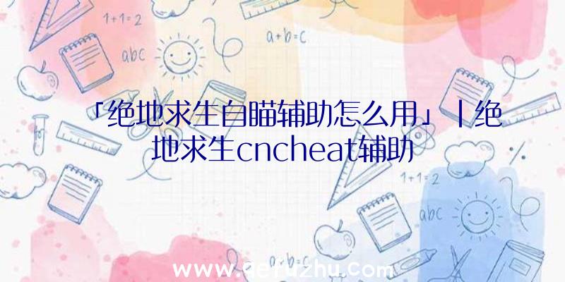 「绝地求生自瞄辅助怎么用」|绝地求生cncheat辅助